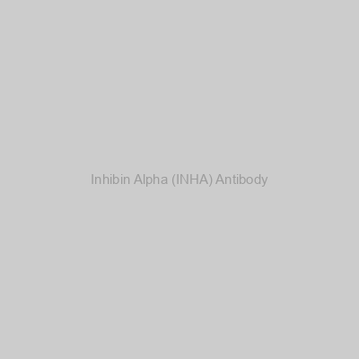 Abbexa - Inhibin Alpha (INHA) Antibody
